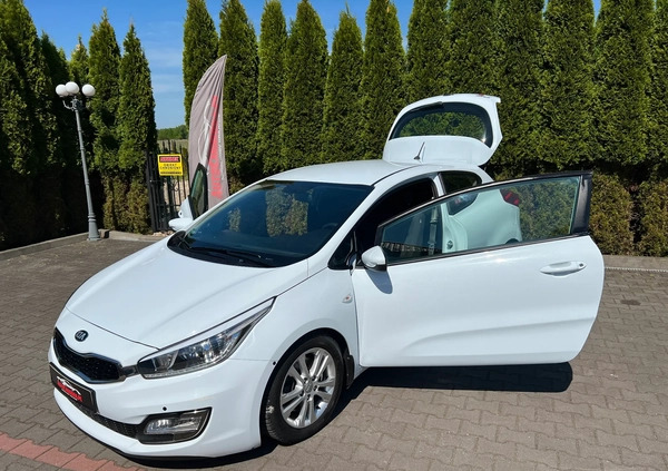 Kia Ceed cena 25900 przebieg: 216281, rok produkcji 2013 z Recz małe 704